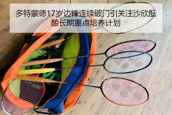 多特蒙德17岁边锋连续破门引关注沙欣酝酿长期重点培养计划
